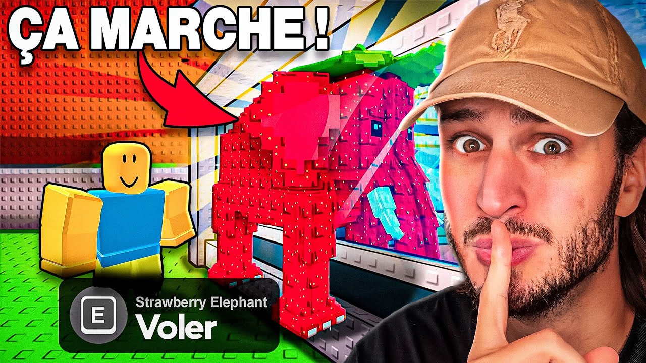 Je TEST 6 MYTHES sur Vol Un Brainrot dans Roblox ! (tu vas être choqué)