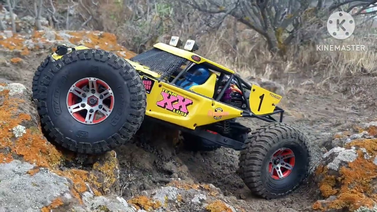 vaterra twin hammers