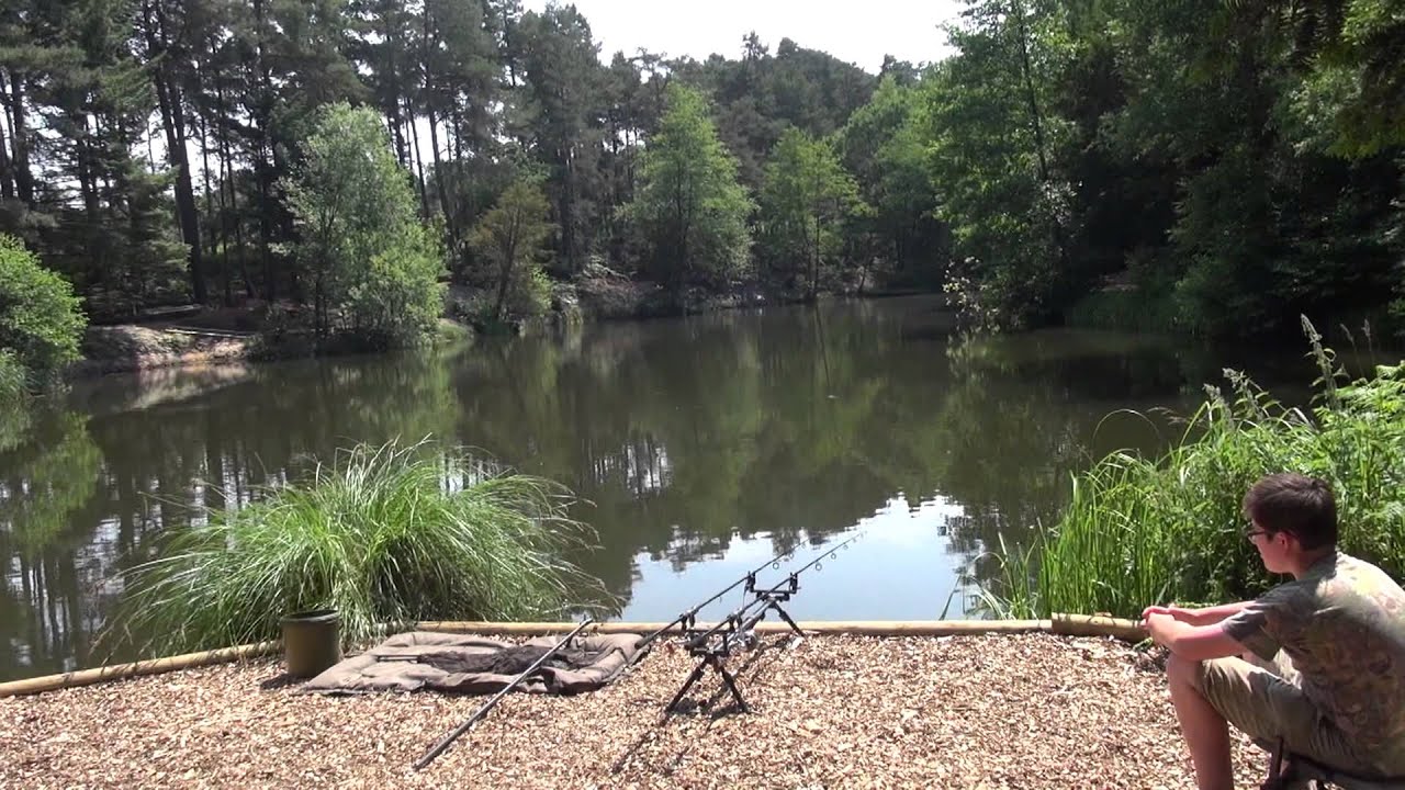 RUSHMOOR LAKE FISHERIES, RUSHMOOR, SURREY