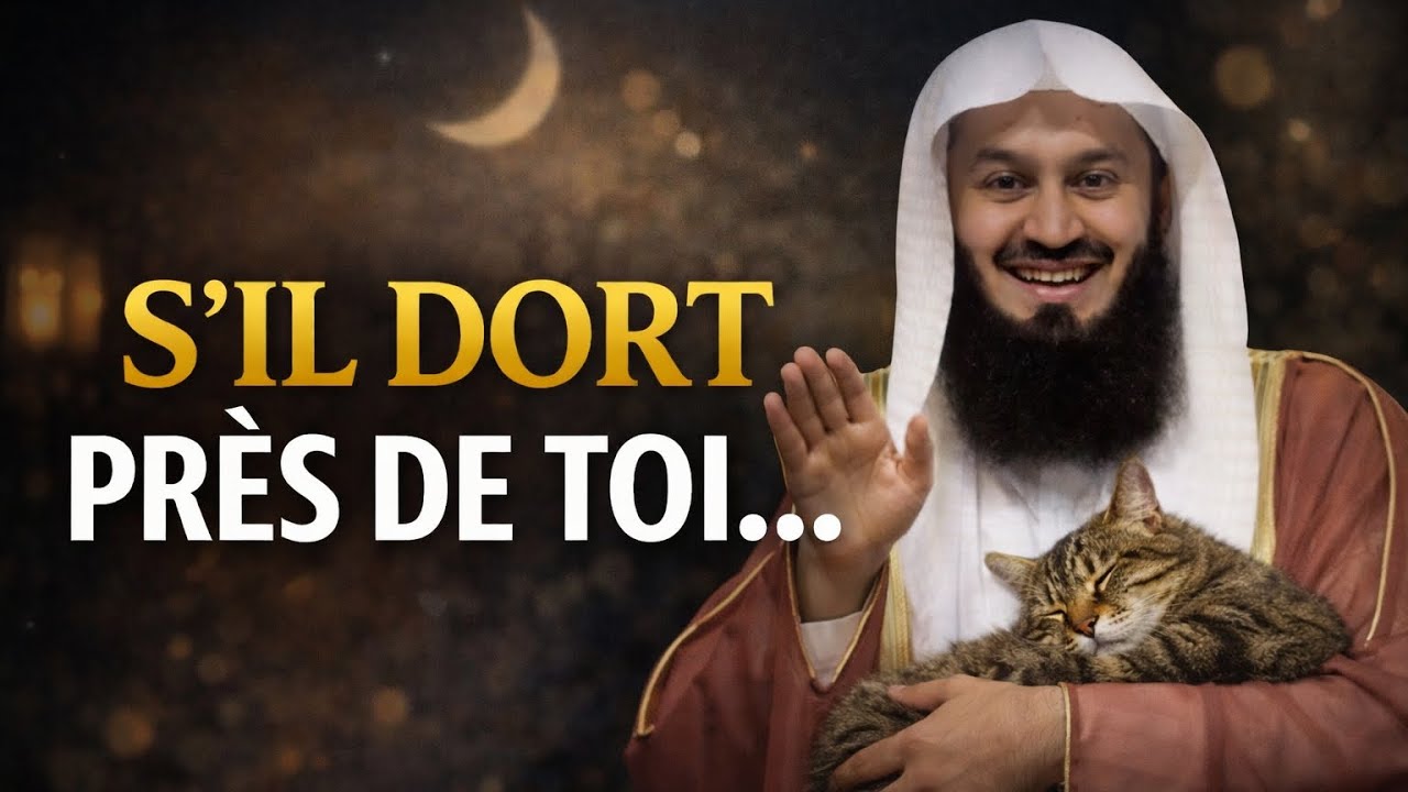 “Si un chat dort à côté de toi… ce n’est peut-être pas un hasard”