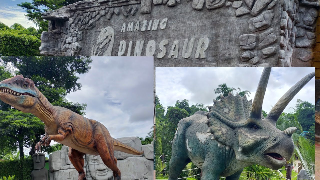 ไดโนเสาร์#Amazing Dinosaur  เขาค้อ