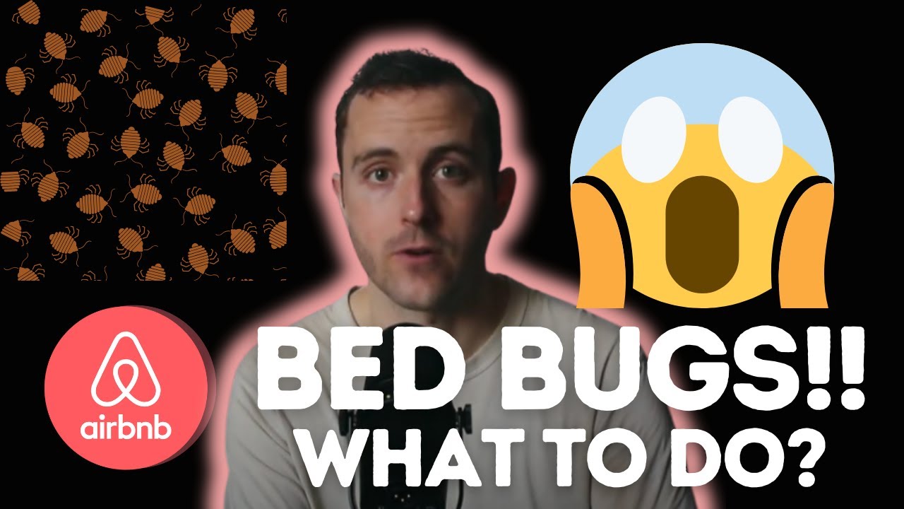 BED BUGS in an Airbnb?! (What to do!)