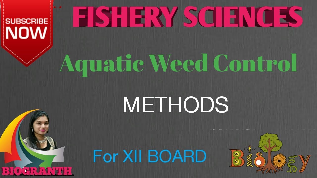 Fisheries Aquatic Weeds Control Methods (12th Board)