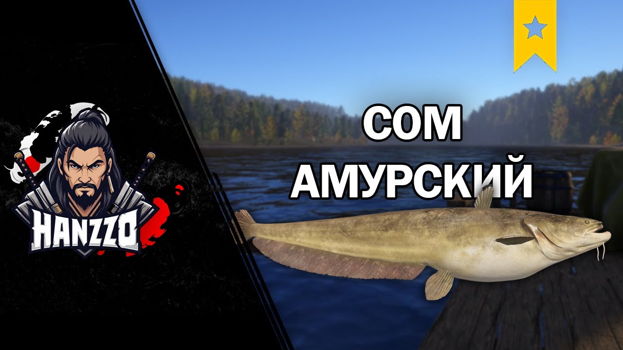 #РР4 Троф Сом Амурский