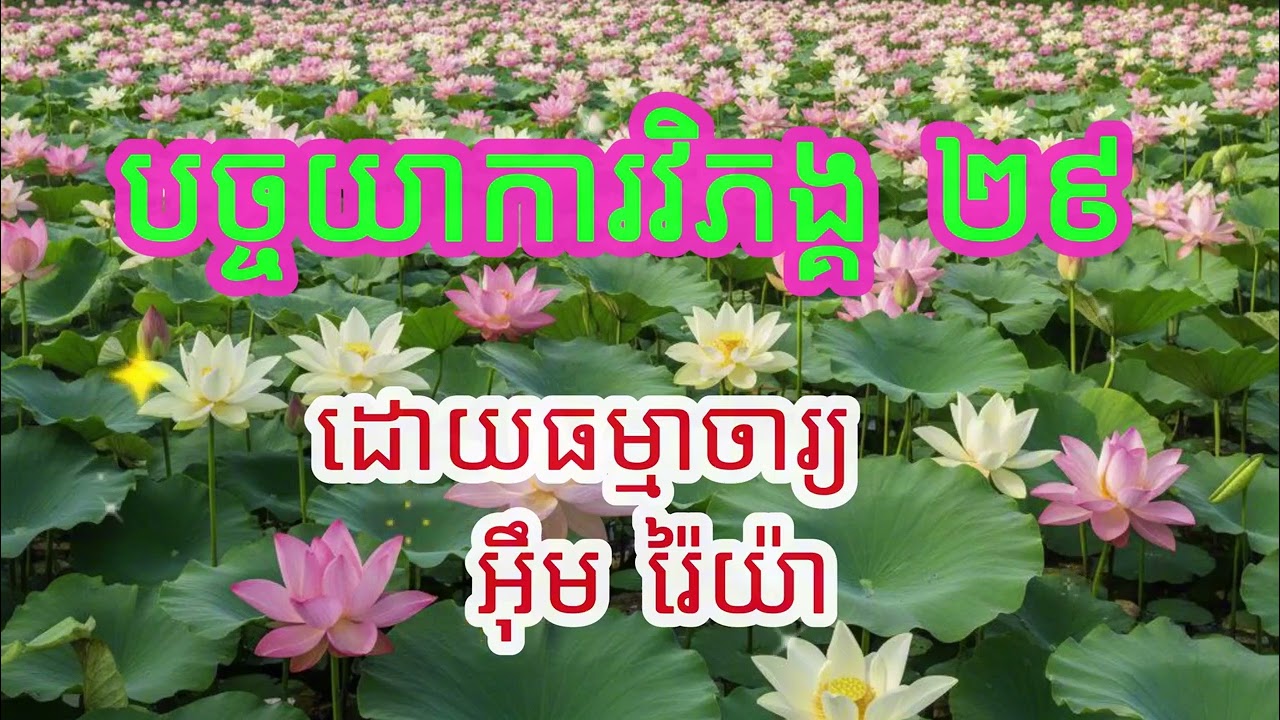 បច្ចយាការវិភង្គ ២៩ ឬបដិច្ចសមុប្បាទធម៌ សម្តែងដោយ ធម្មាចារ្យ អ៊ឹម រ៉ៃយ៉ា​ #ធម៌ទេសនា #ធម៌អប់រំជីវិត
