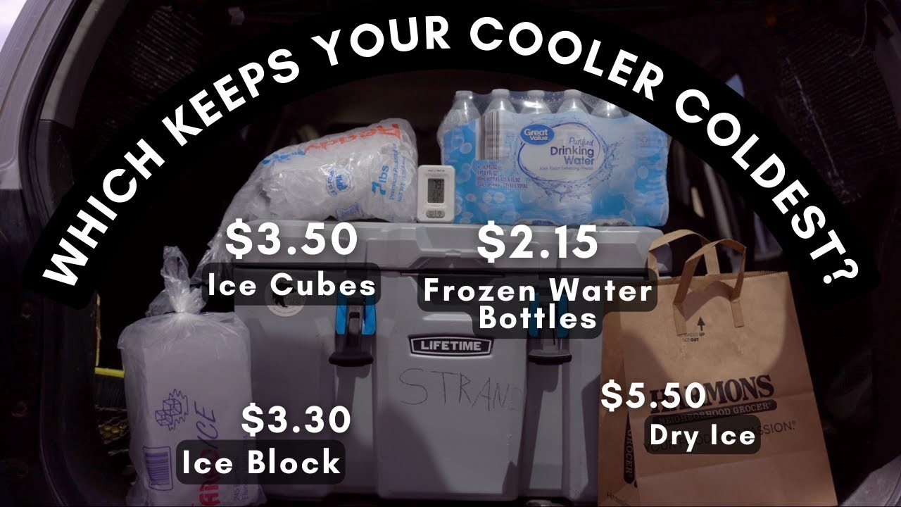 Bag, Block, Frozen Water bottle, or Dry ice.  What works the best?