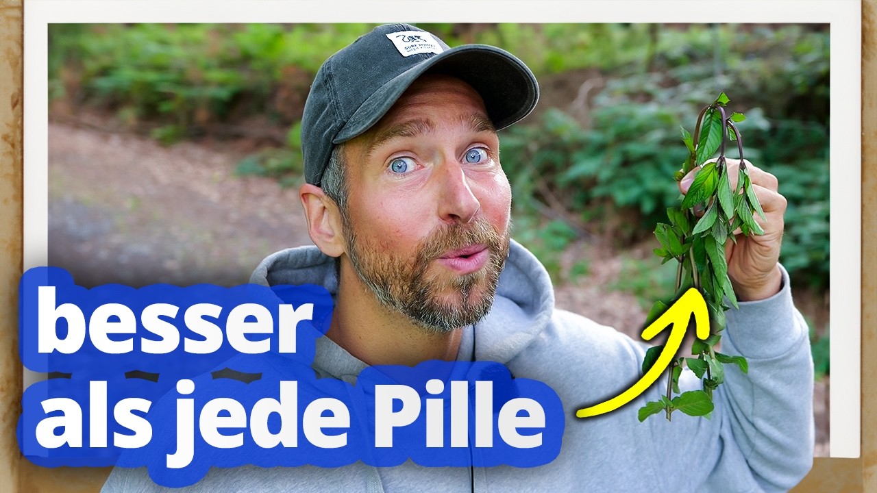 Du glaubst nicht, was MINZE mit deinem Körper macht