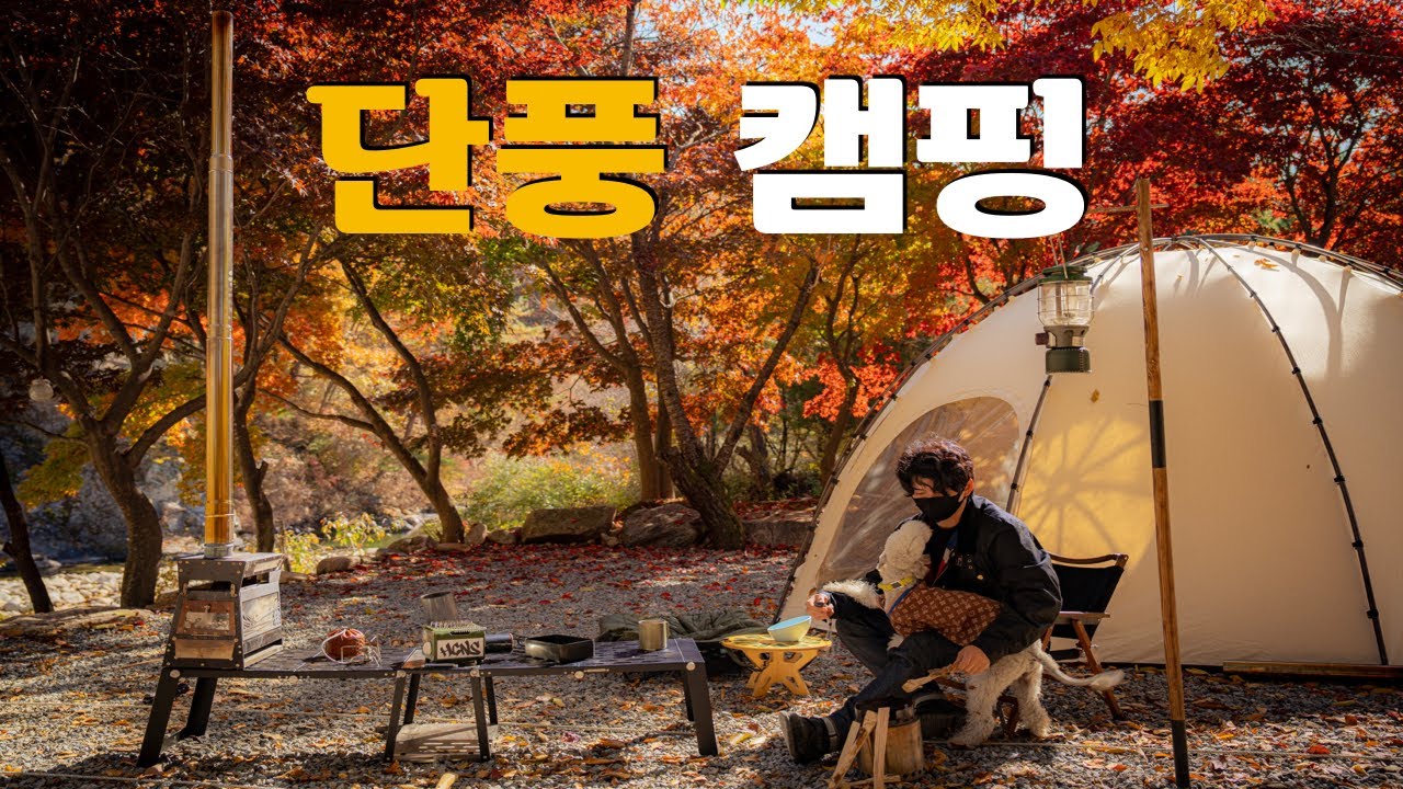 계곡 물소리 가득한 단풍나무 아래에서의 완벽한 단풍캠핑