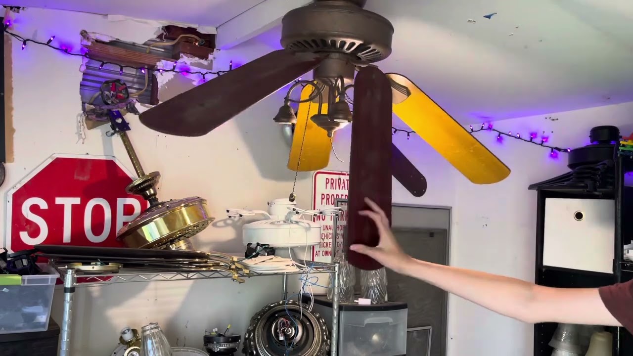 Ceiling fan destruction #5
