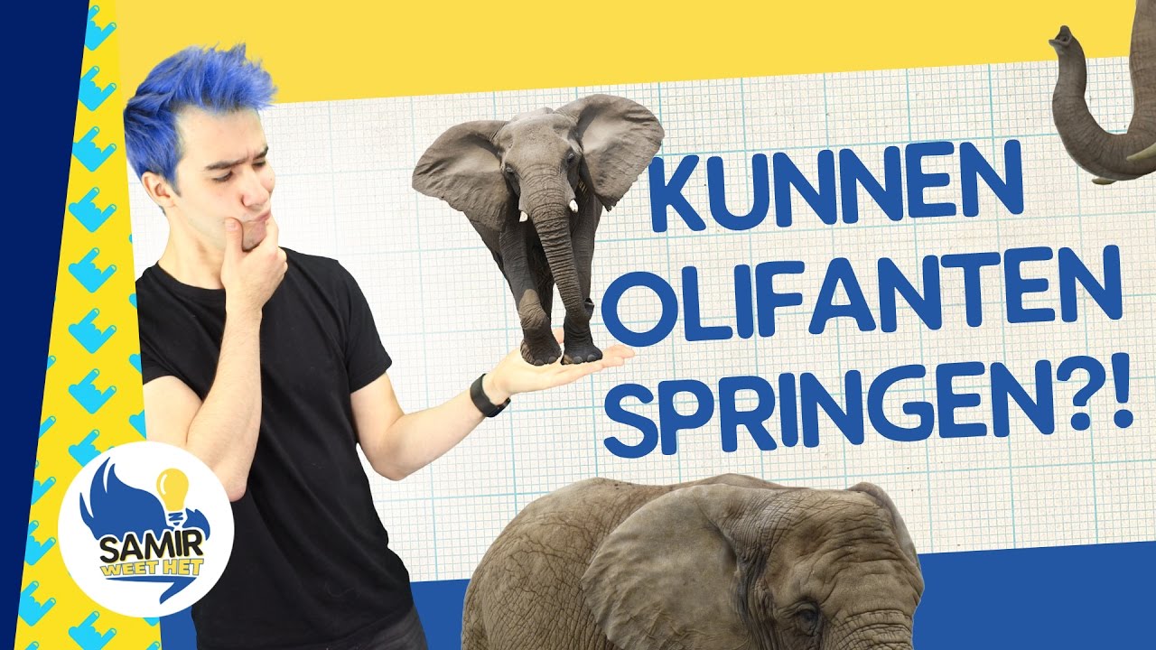Kunnen olifanten springen?! - Samir weet het