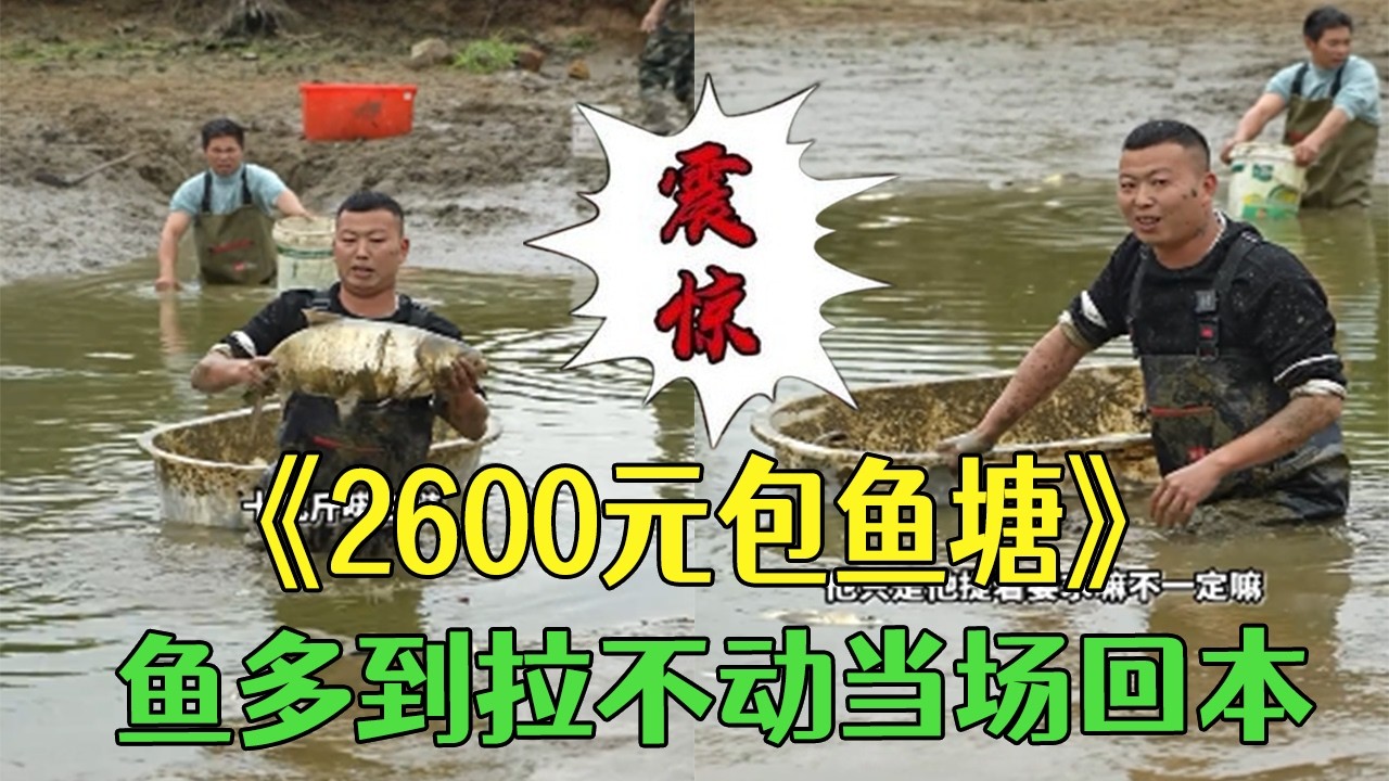 花2600幫粉絲朋友包個魚塘，魚多到拉不動當場回本 #小飛哥#三農#大熱門 #包塘 #護外