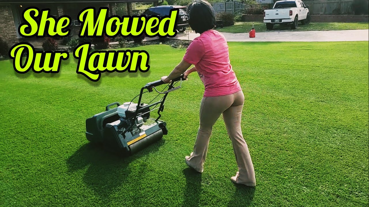 Taking my lawn down to 1/2'' // Liquid fertilizer and Seaweed Extract // Renovation Update