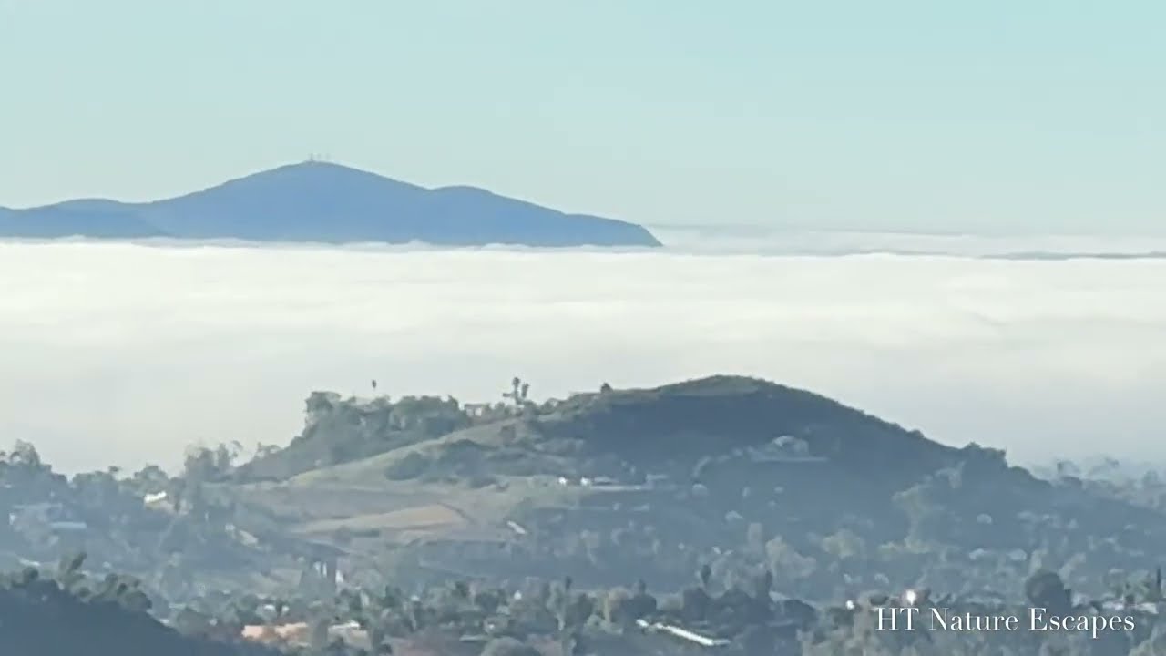 Dreamy Sea of Fog and Peaceful Hidden Mountain View from Deer Park Monastery Escondido California 4K