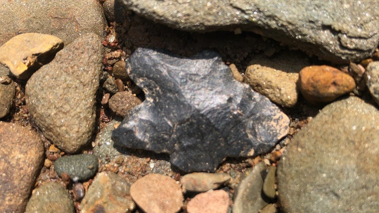 Arrowhead Hunting - 06/19/2021 - Putnam County, West Virginia