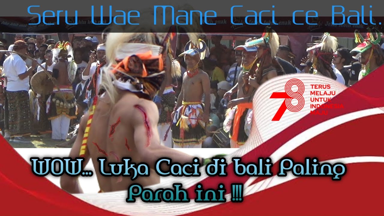 seru caci di denpasar bali!!! wae mane 😂#cacidibali  #cacididenpasarBali #cacimanggarai #part3
