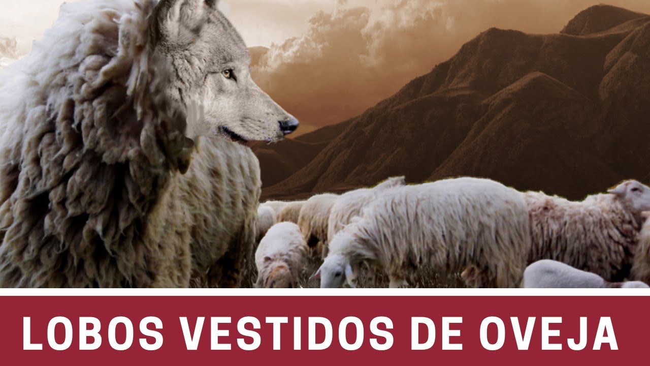 Lobos Vestidos de Oveja - Juan Manuel Vaz