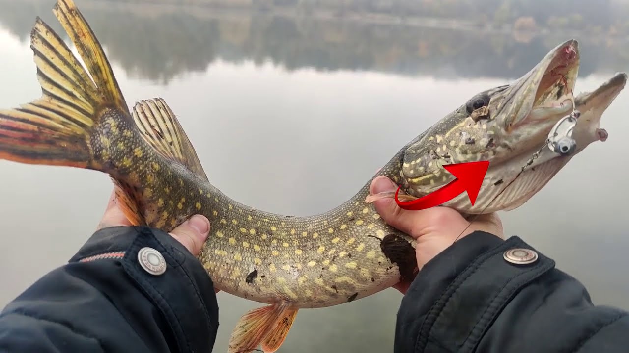 Бесплатные Cнасти для рыбалки !!!ШОК для спиннингиста ! 0_o