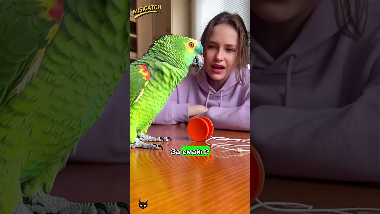 ГОША ПОЛУЧИЛ БАН В ИГРЕ ЗА ТАНК-ЙО-ЙО 😭🎮 АДМИН &mdash; ПАПА ТОГО ЧУВАКА!