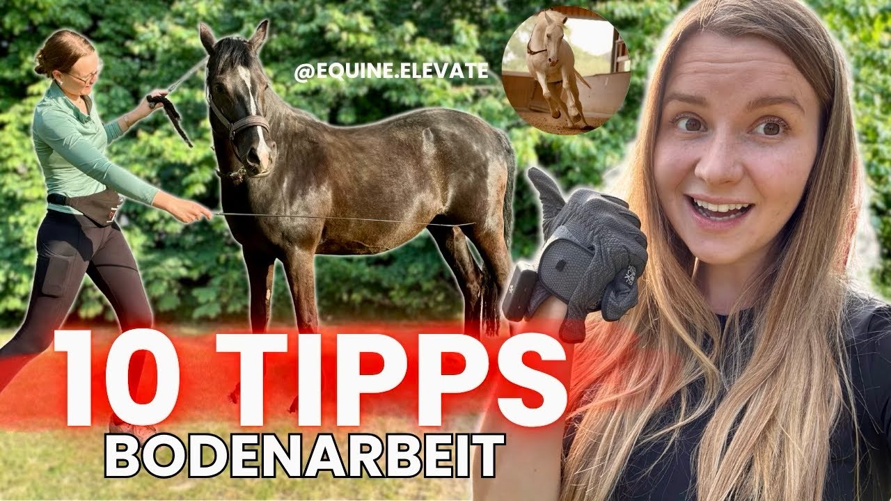 10 GRUNDLAGEN der BODENARBEIT mit @Celina