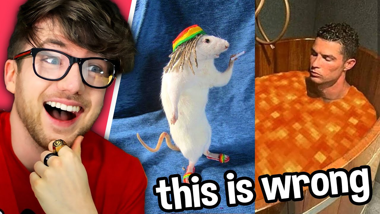im not sure how these memes are even legal 😃