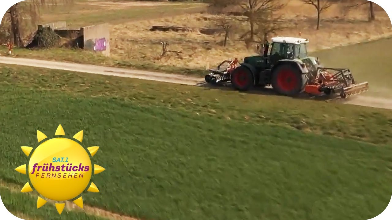 Deutsche Bauern wollen gegen den Weizenmangel k&auml;mpfen | SAT.1 Fr&uuml;hst&uuml;cksfernsehen
