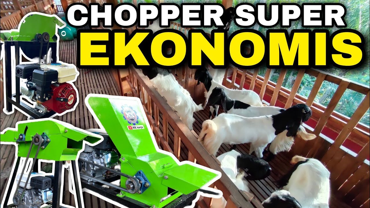 DIJAMIN MURAH‼️ KUALITAS TERUJI TIDAK DIRAGUKAN