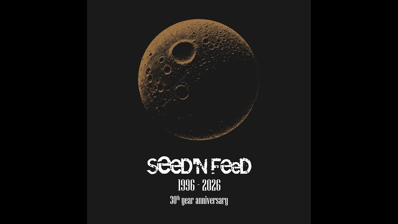 Seed'n'feed - Take a position (1996)
