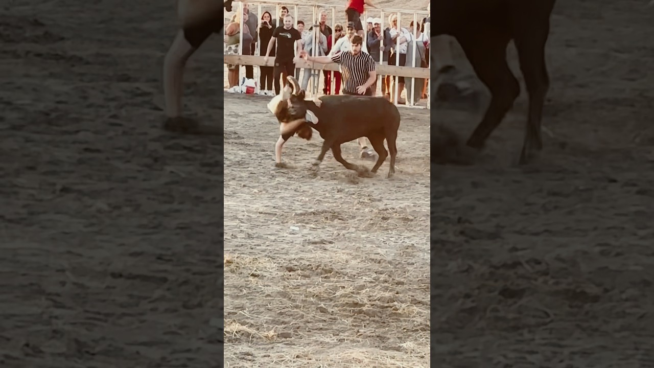 Bachuchage &agrave; la Plagette