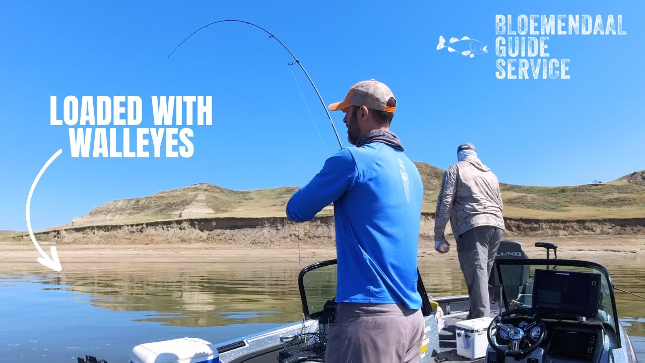 Мелководный заброс для мигрирующих судаков в водохранилище – озеро Сакакавеа