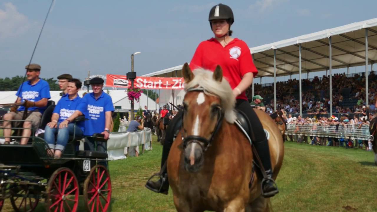 Titanen der Rennbahn 2016  Einmarsch der Reiter und Gespanne am Samstag
