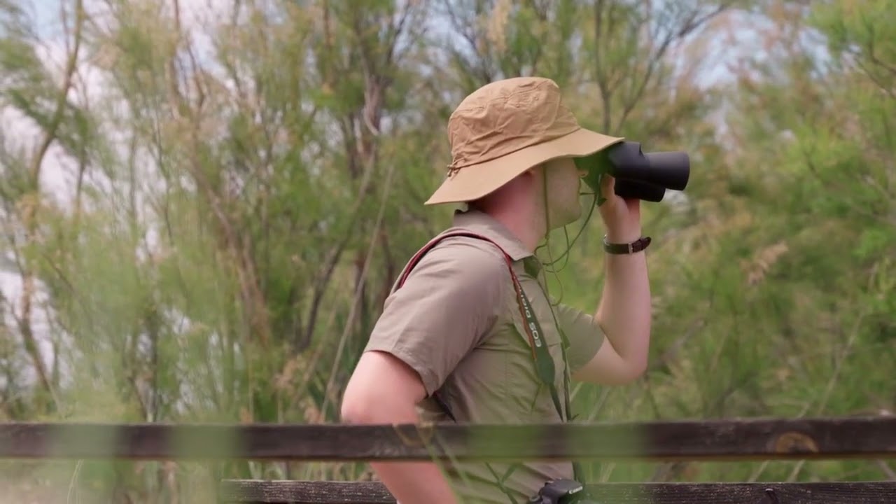 SAGUNT - programa Àpunt - VORAMAR