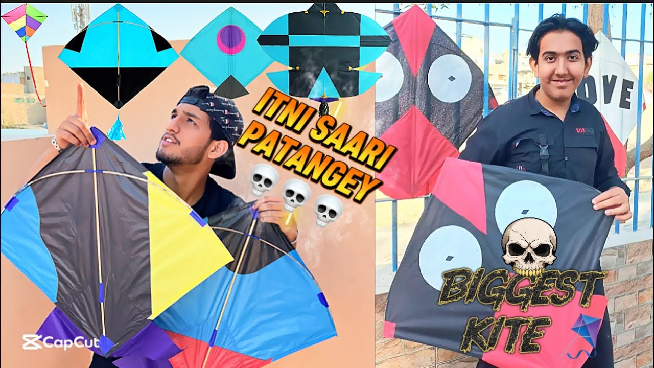 World Biggest Kite 🪁/Basant Vlog/ Patang Vlog #basant #patangbazi #patangvlog #viralvideo 