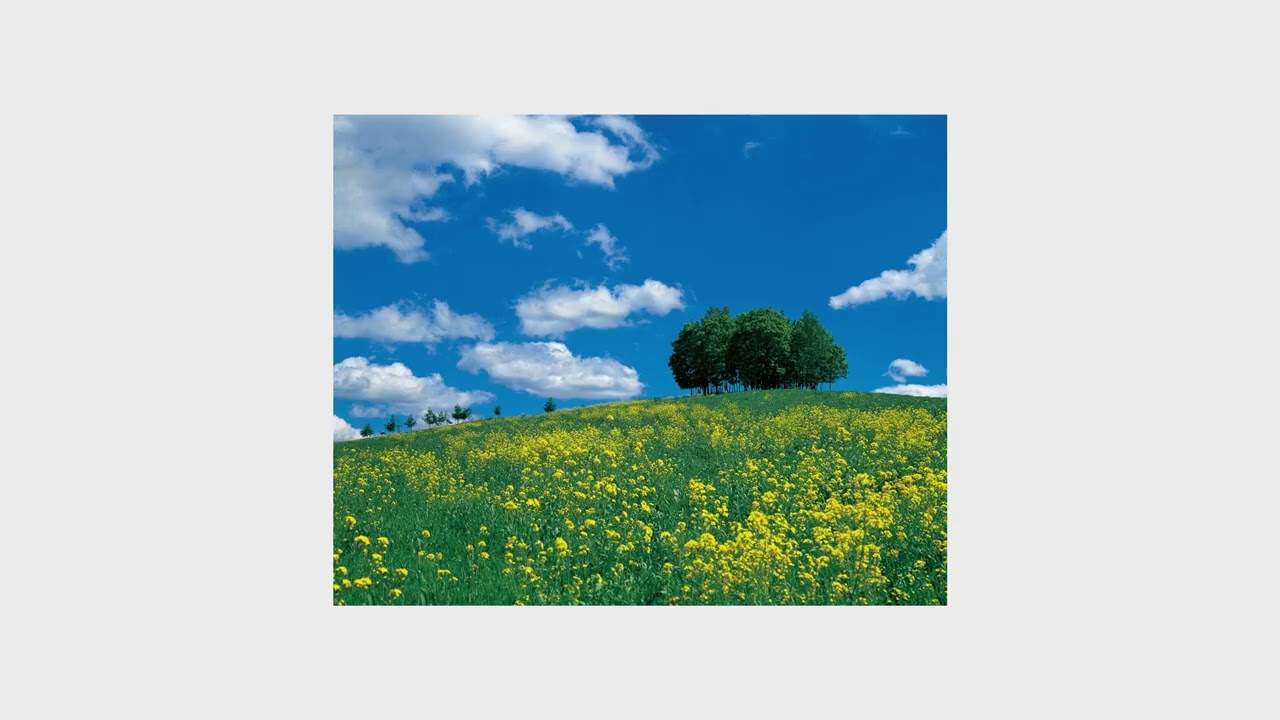 Fouge Vol. 1 - Ki - Japan - Maeda Shinzo no Sekai - ♪ Original Soundtrack #ambientmusic