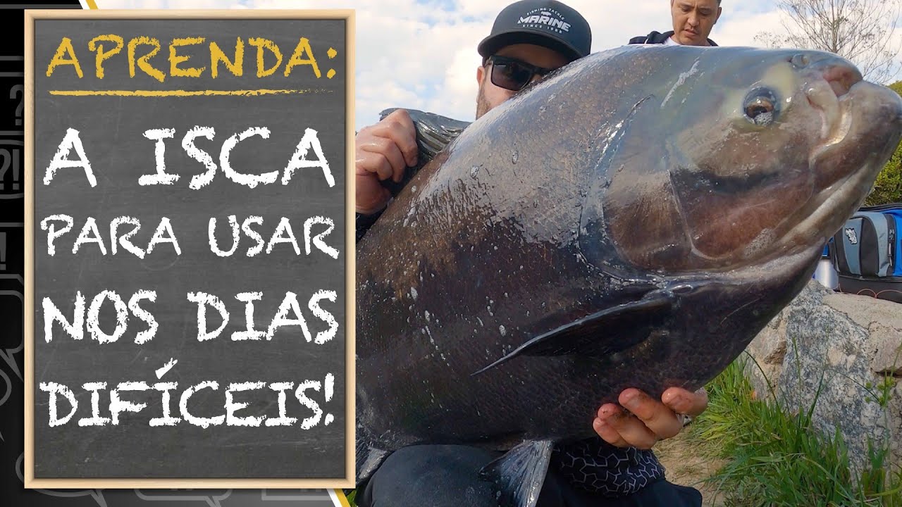 APRENDA: A ISCA PARA USAR NOS DIAS MAIS DIFÍCEIS!! (TUTORIAL COMPLETO)