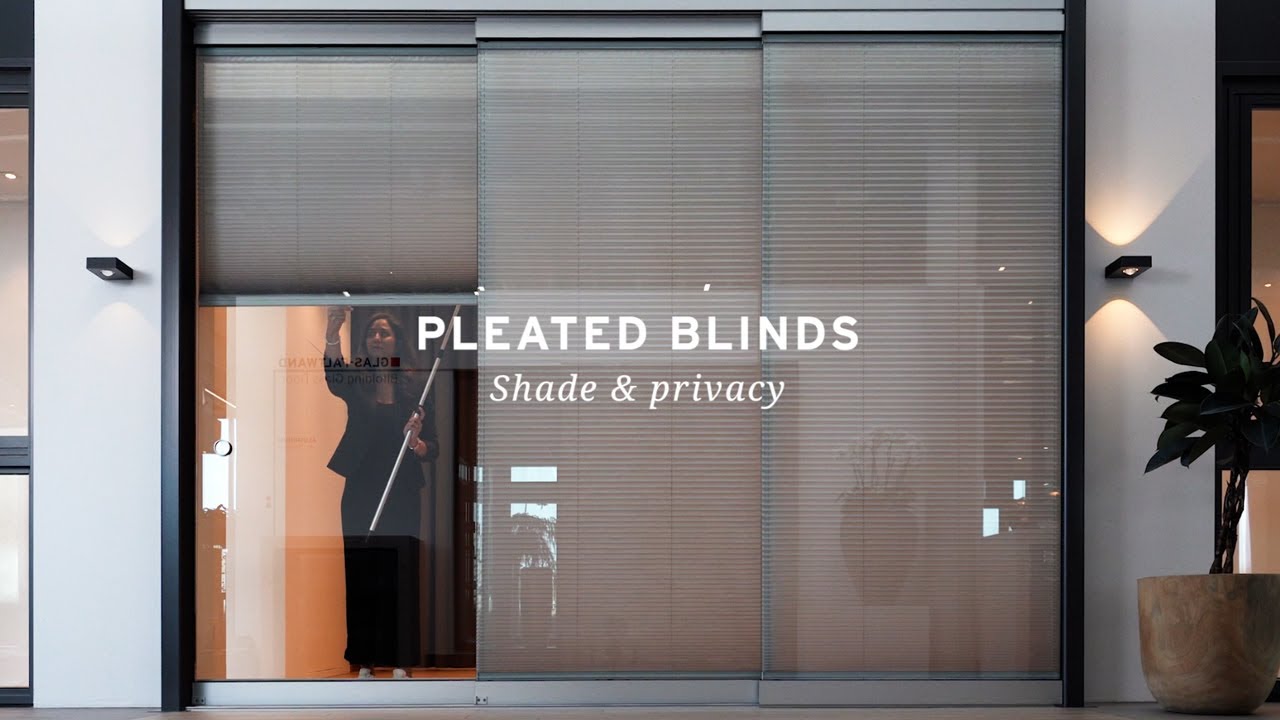 Pleated blinds: shade & privacy