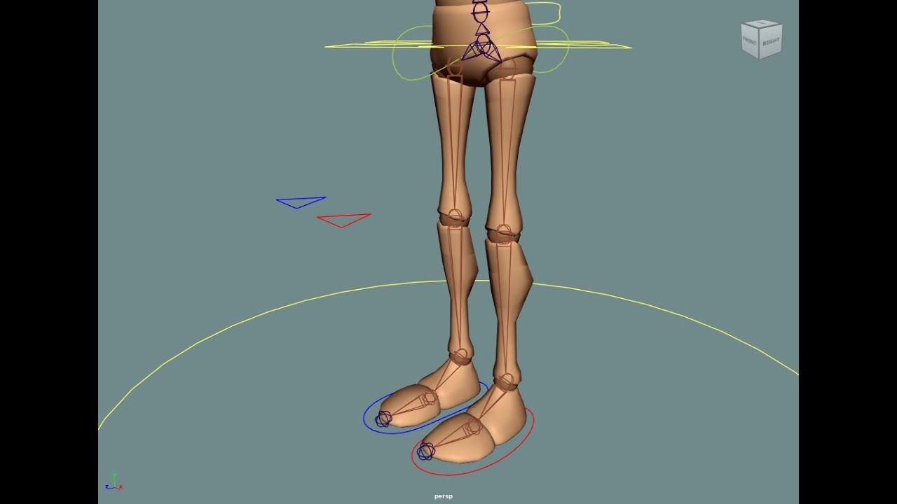 Rigging of a Biped Character: Rigging of the Leg and Foot
