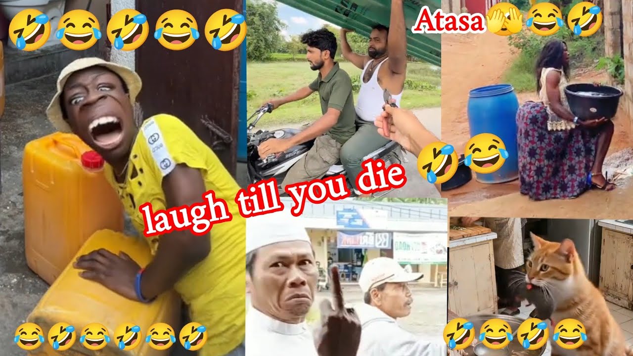 100 самых смешных видео в мире 😂Попробуй не засмеяться челлендж 😂🤣