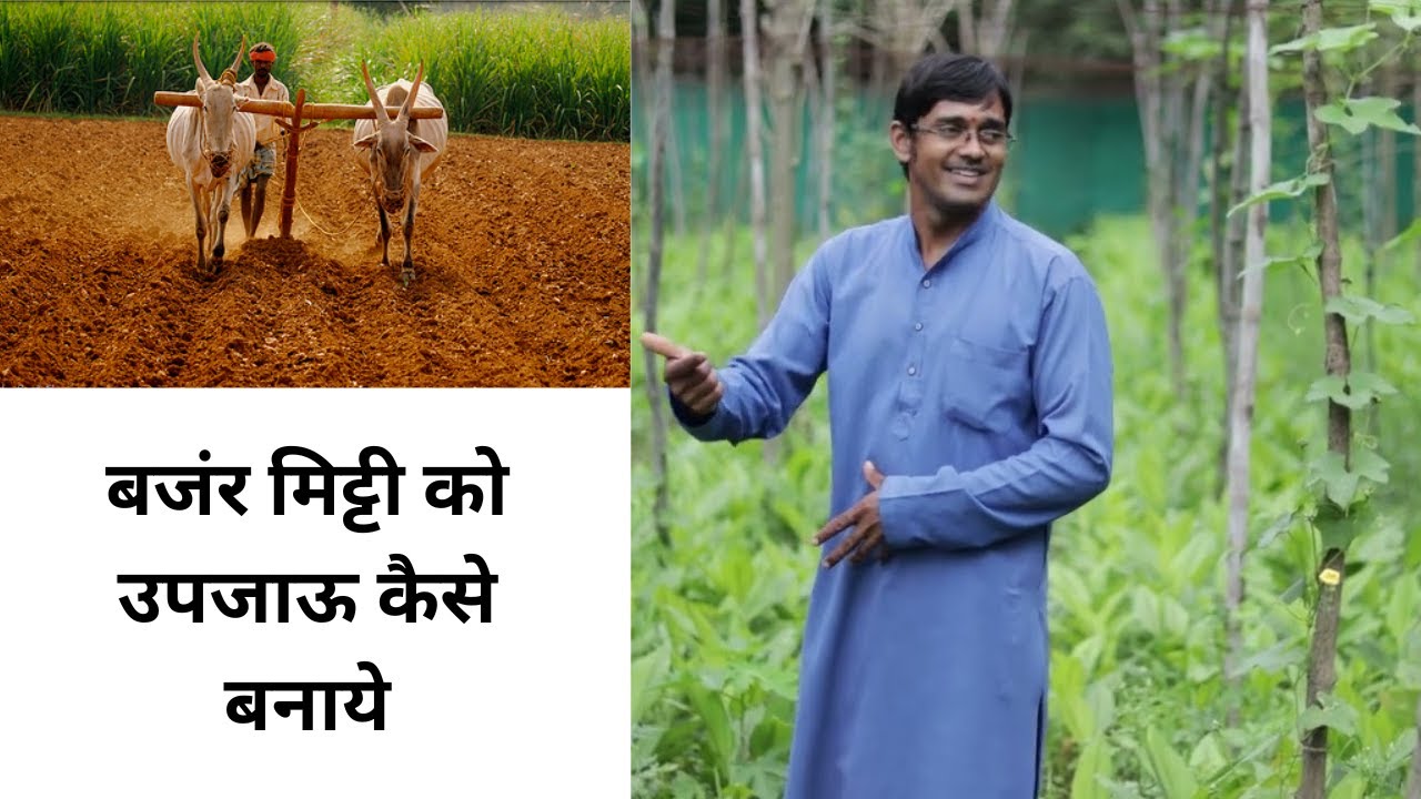 बजंर मिट्टी को उपजाऊ कैसे बनाये।| How to make soil fertile | akash chourasiya