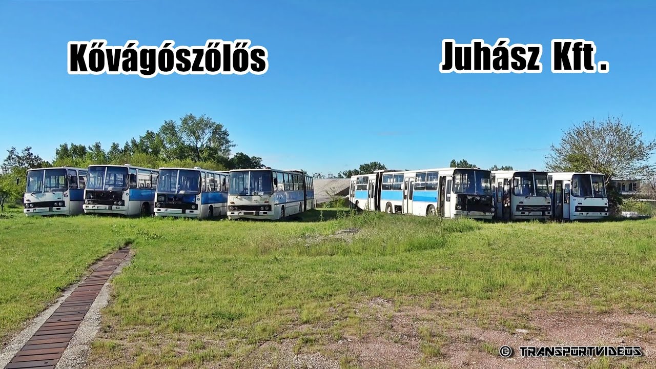 2021.05.18. - 7 db sorsára hagyott pécsi Ikarus 280-as busz Kővágószőlősön
