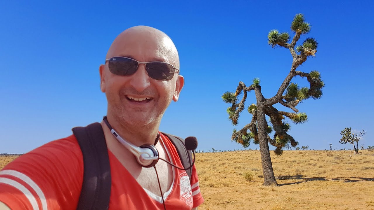 J'AI TESTÉ LE LÉGENDAIRE JOSHUA TREE PARK !