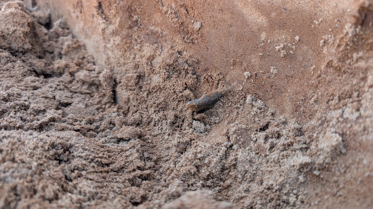 Hogeye to Flint Ridge to Family Dig.