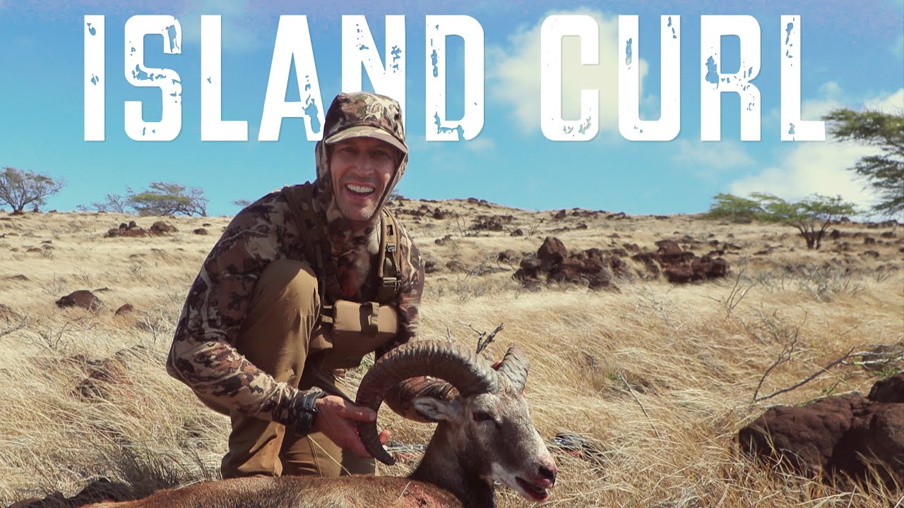 HUNTING WILD SHEEP IN HAWAII: A MOUFLON HUNTING STORY