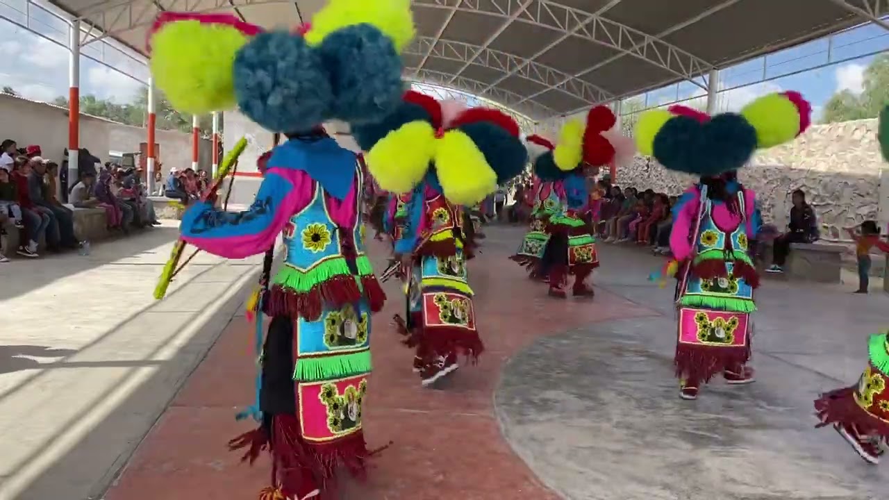 Tadeos en la hierba Jalisco y sigue y sigue 💚💚