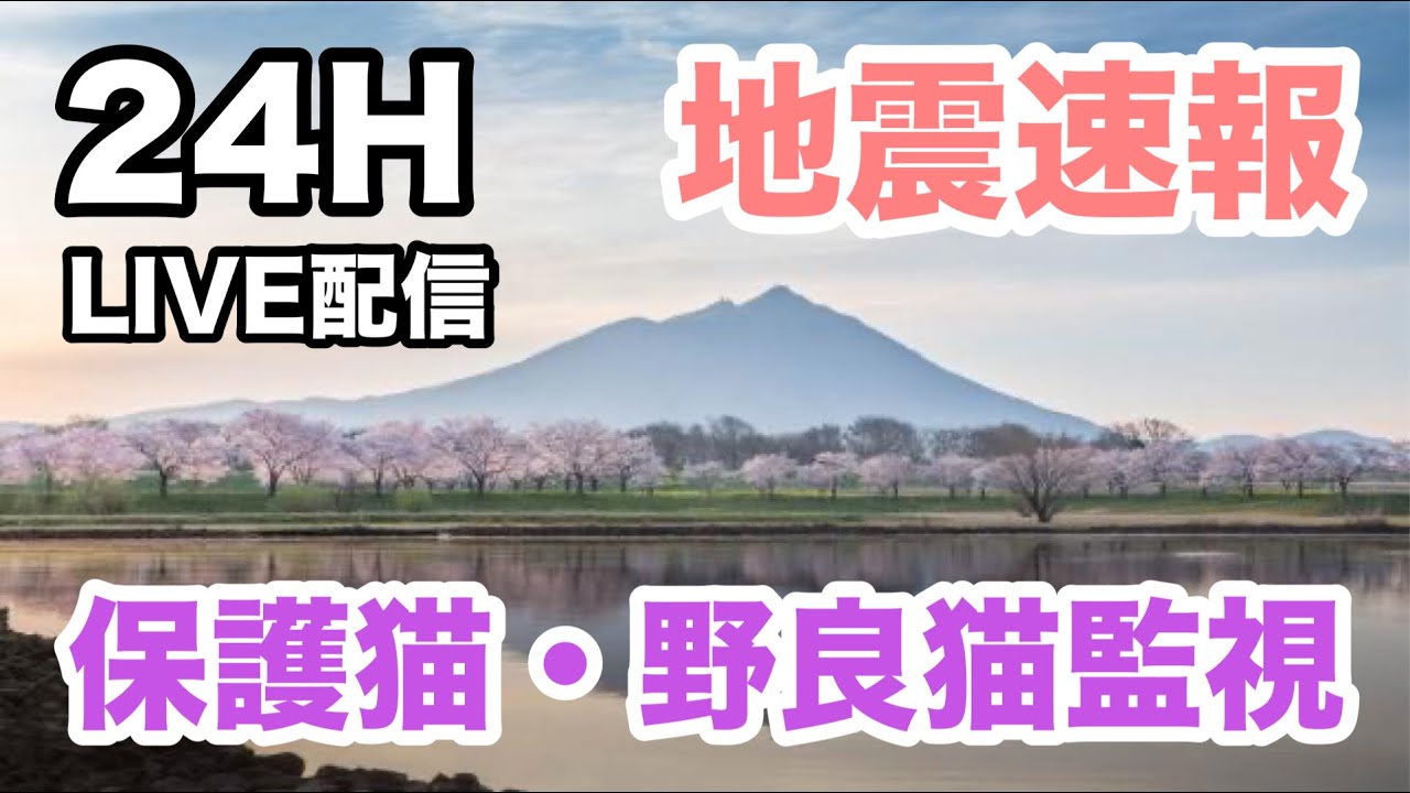 2026/0131  PM5:00~AM5:00   LIVE映像・保護猫監視・アライグマ・タヌキ・ハクビシンがきます。地震速報・天気予報