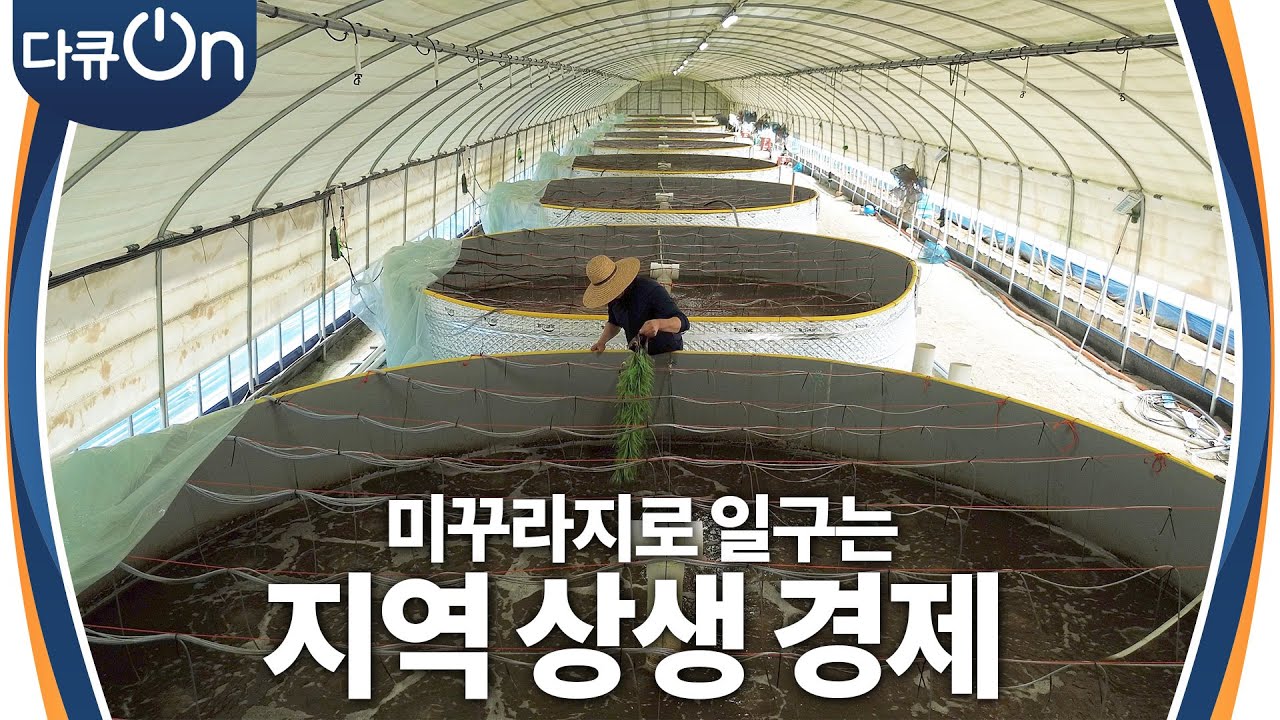미꾸리로 일구는 지역 상생 경제! [다큐ON-Docu ON] | KBS 230624 방송