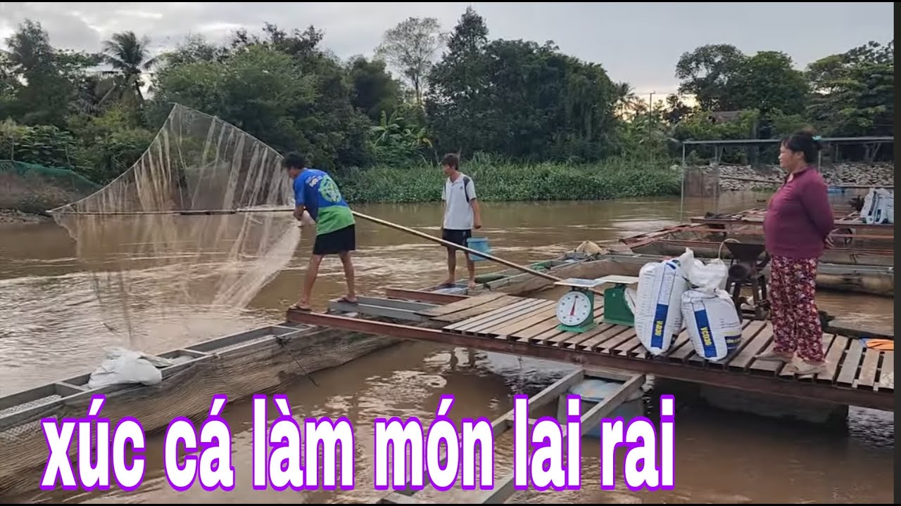 Xúc Cá Sác Làm Món Cá Sác Kho Tiêu Và Món Cá Chim Khổng Lồ Nướng Muối # SĂN BẮT ĐỒNG THÁP #