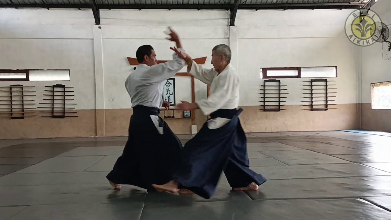 Shomen Uchi Irimi Nage by Seki Sensei