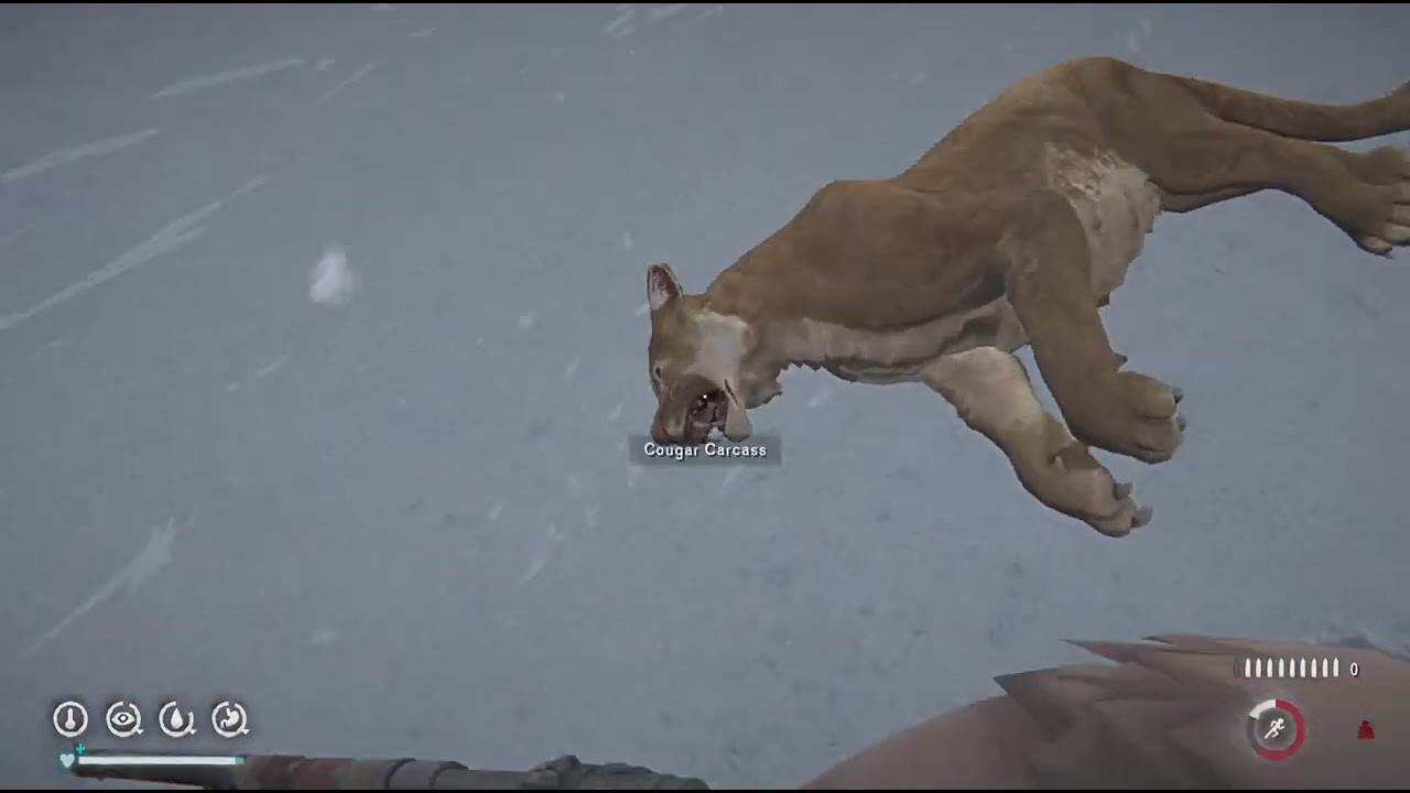 TLD - 1 Hunt - 2 Cougars - 15 minutes