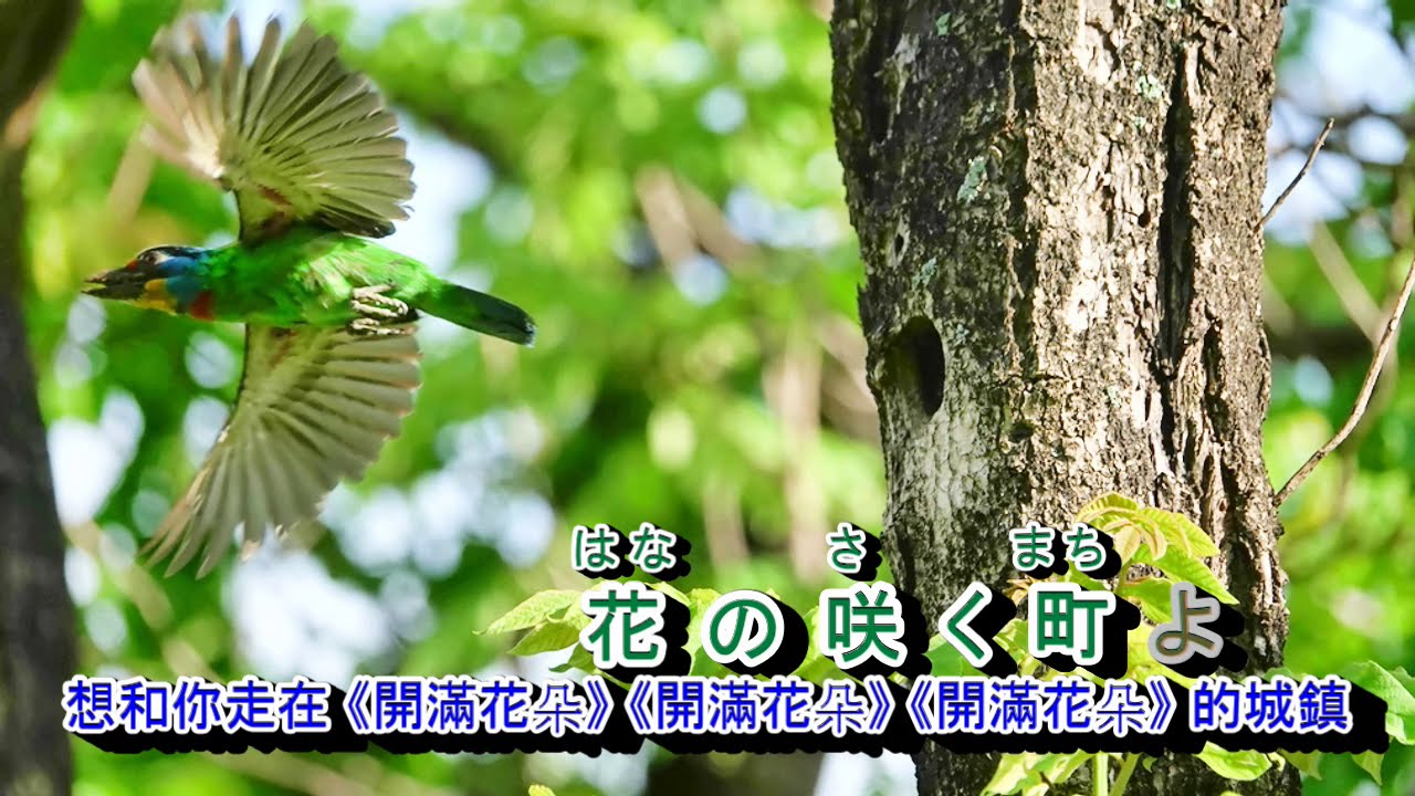 城崎恋歌 字義版