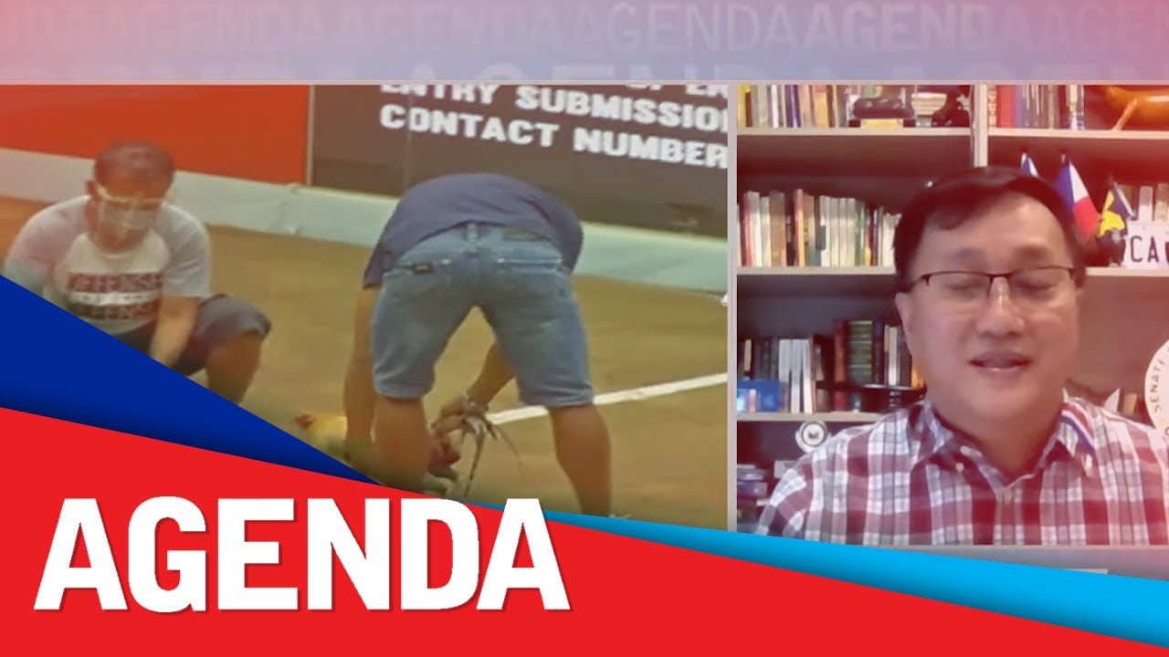 Tolentino: E-sabong 'illegal', not part of an existing law